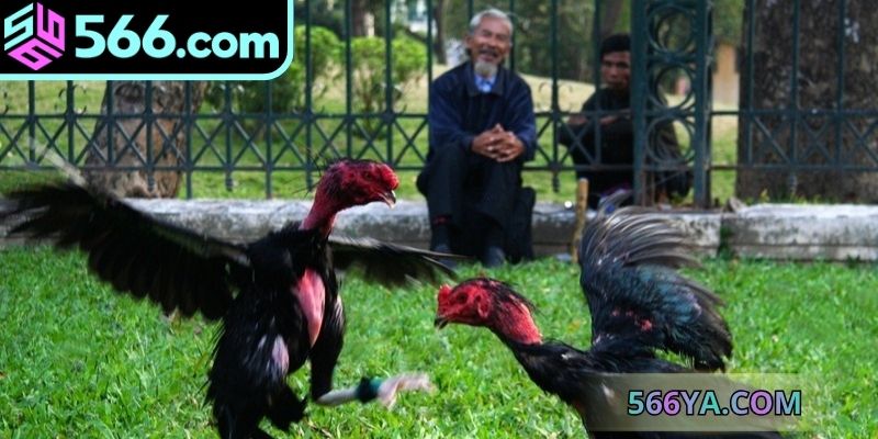 Phải làm sao nếu gặp bất lợi khi trải nghiệm